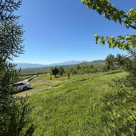 Panorama ホテル